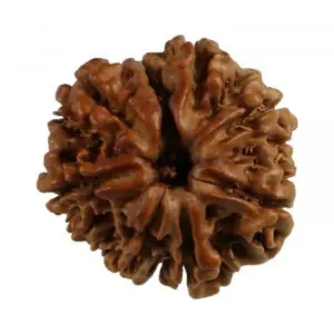 9 mukhi
